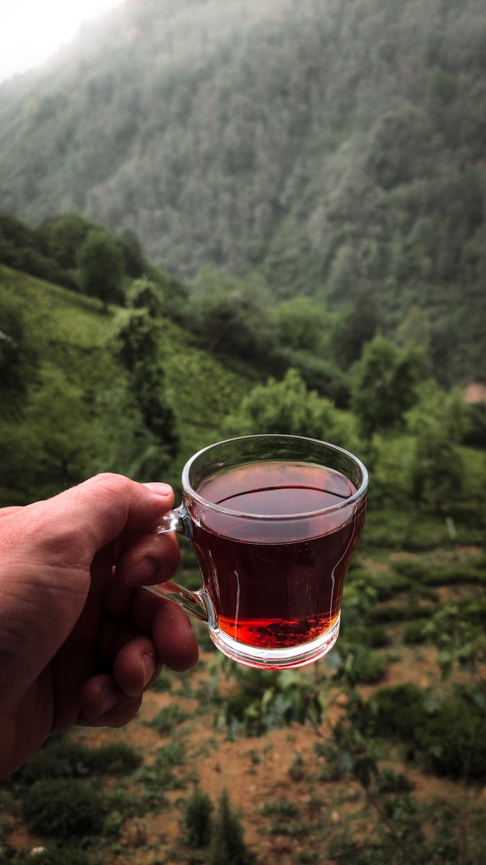 Enjoying a cup of Turkish tea overlooking lush green mountains in Rize, Türkiye.